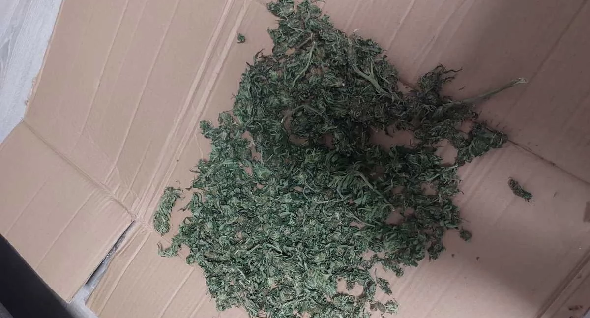 Na zdjęciu narkotyki znalezione przy 34-latku / Fot. KPP Kępno