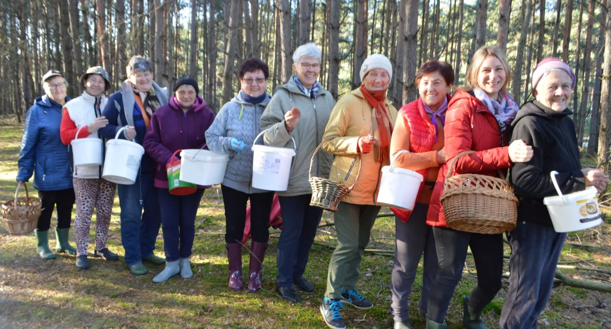 Seniorki ze Słupska już trzy razy w tym roku wspólnie wybrały się na grzyby/fot.: Ela Wodecka 