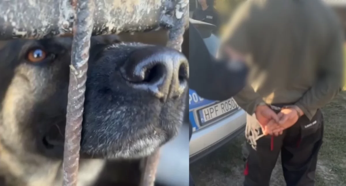 Na zdjęciu moment zatrzymania mężczyzny oraz jeden z psów, który był przetrzymywany w tragicznych warunkach / Fot. KPP Sieradz