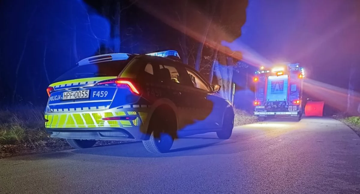 Na zdjęciu miejsce tragicznego wypadku w Jankowicach / Fot. KPP Radomsko 