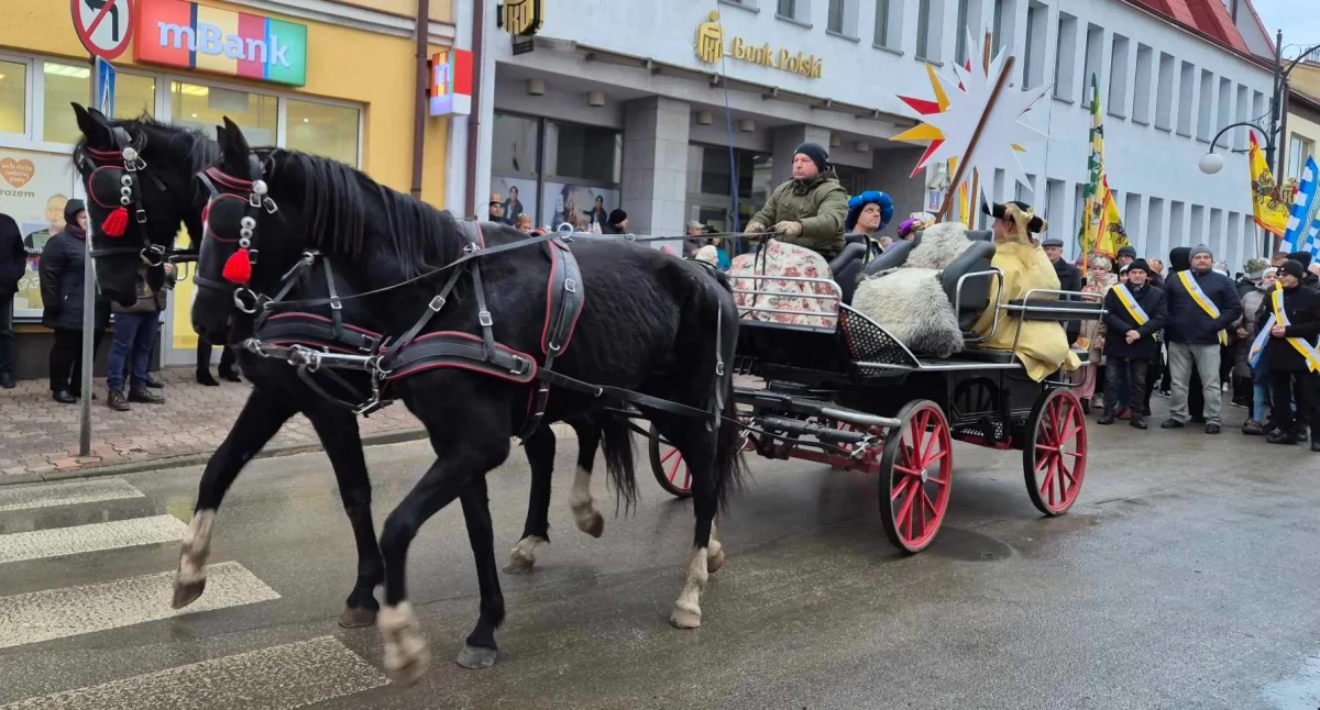 zdjęcie przedstawia bryczkę, którą poruszali się Trzej Królowie podczas orszaku / fot.: Karolina Trąpczyńska