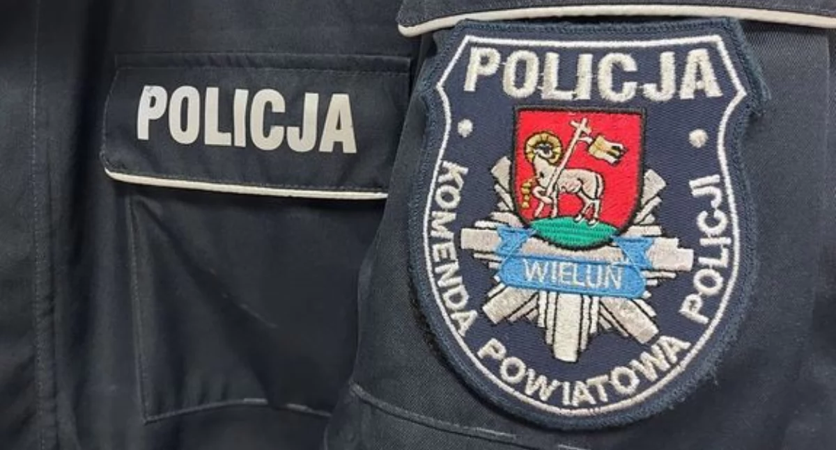 Zdjęcie poglądowe