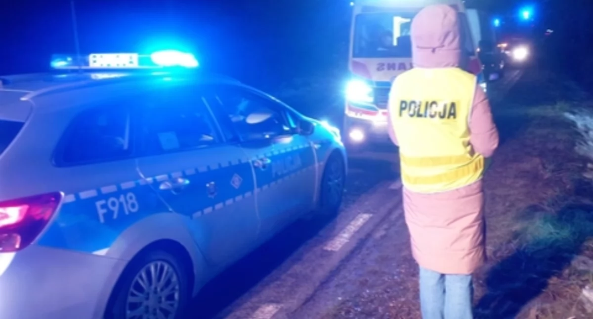 Na zdjęciu miejsce wypadku / Fot. KPP Bełchatów