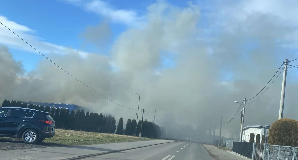 zdjęcie przedstawiające pożar jednego z auto-komisów w Praszce / fot.: Iwona Augustyniak