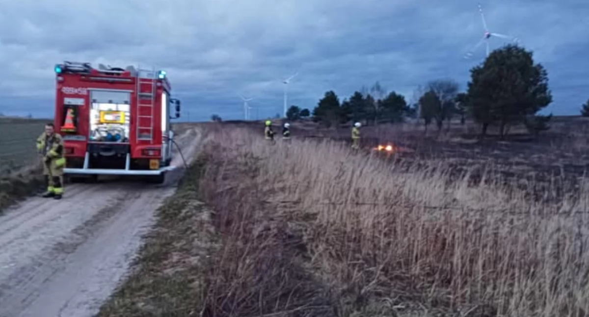 Na zdjęciu strażacy OSP KSRG Działoszyn w akcji/fot.: KrB