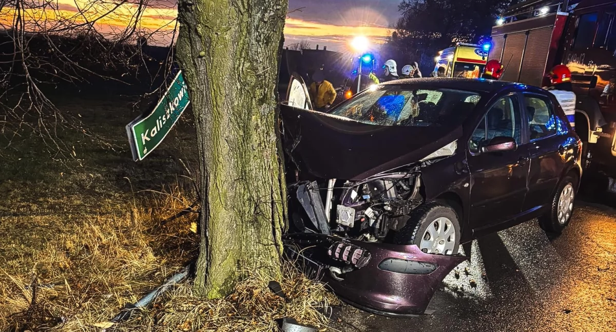 zdjęcie przedstawiające wypadek na drodze między Kaliszkowicami i Mikstatem / fot.: archiwum KPPSP Ostrzeszów