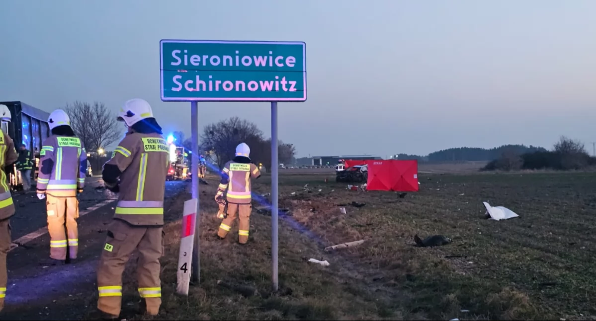 Zdjęcie z miejsca wypadku/fot.: Opolska Policja 