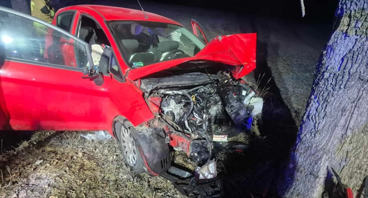 Zdjęcie przedstawia samochód po zderzeniu z drzewem/fot.: OSP KSRG Sulmierzyce
