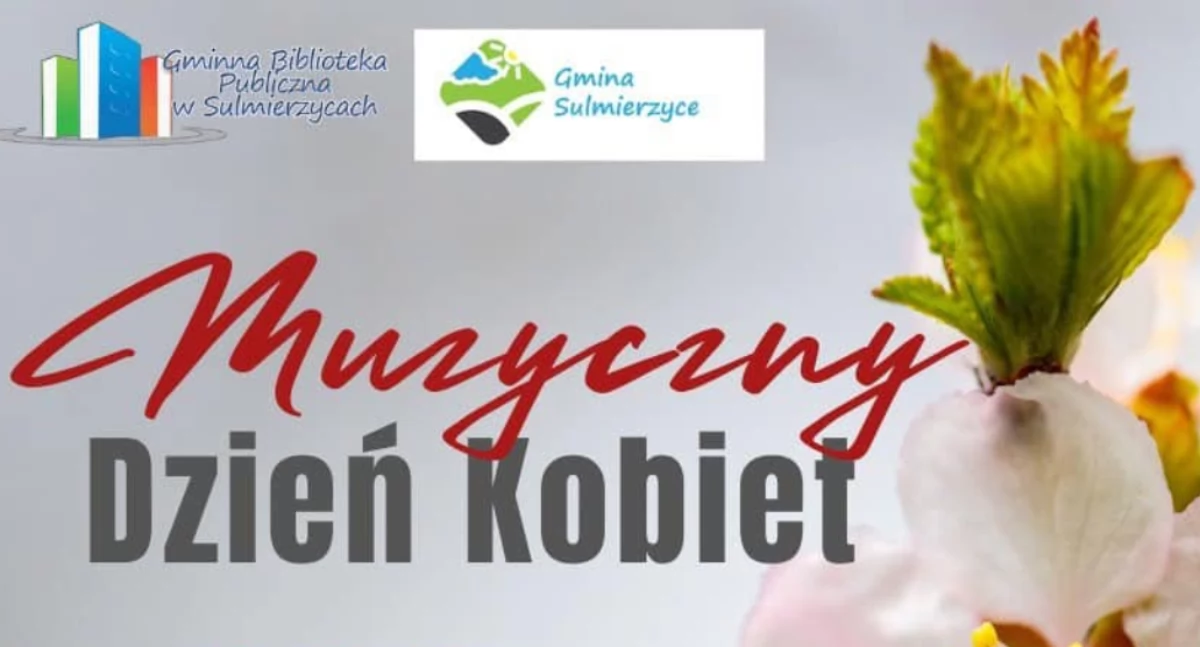 Zdjęcie poglądowe/fot.: GBP w Sulmierzycach