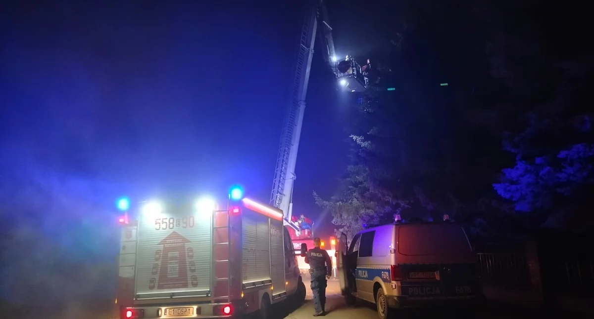 Na zdjęciu wieluńskie służby wezwane do kota na drzewie/fot.: Joanna Major