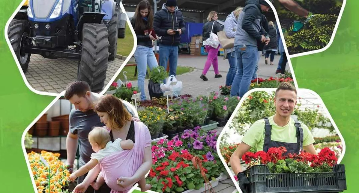 targi, Targi Rolno Ogrodnicze Sulmierzycach rośliny sprzęt regionalne produkty jednym miejscu! - zdjęcie, fotografia