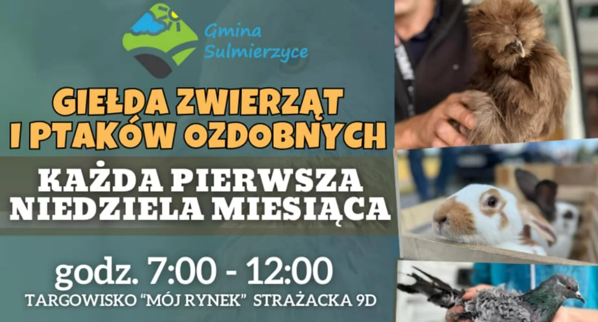 targi, Giełda Zwierząt Ptaków Ozdobnych Sulmierzycach najbliższą niedzielę - zdjęcie, fotografia