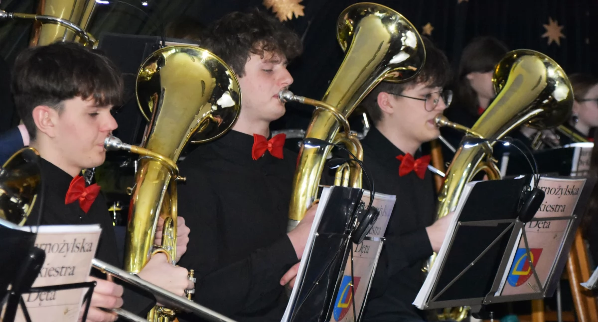 koncert, Czarnożylska Orkiestra Dęta zachwyciła publiczność muzyką filmową - zdjęcie, fotografia