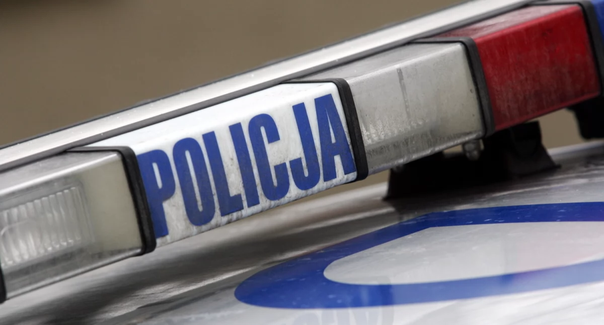 fot. Polska Policja (zdjęcie poglądowe)