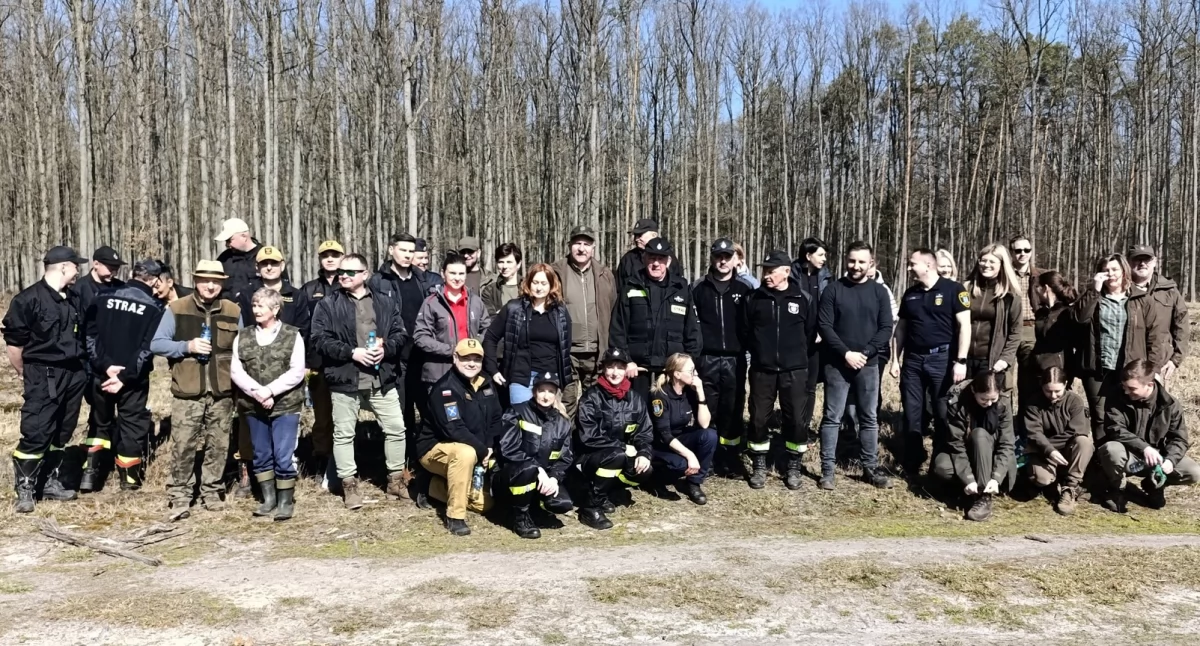 Zdjęcie z akcji sadzenia 12 tysięcy sadzonek sosen w ramach kampanii 