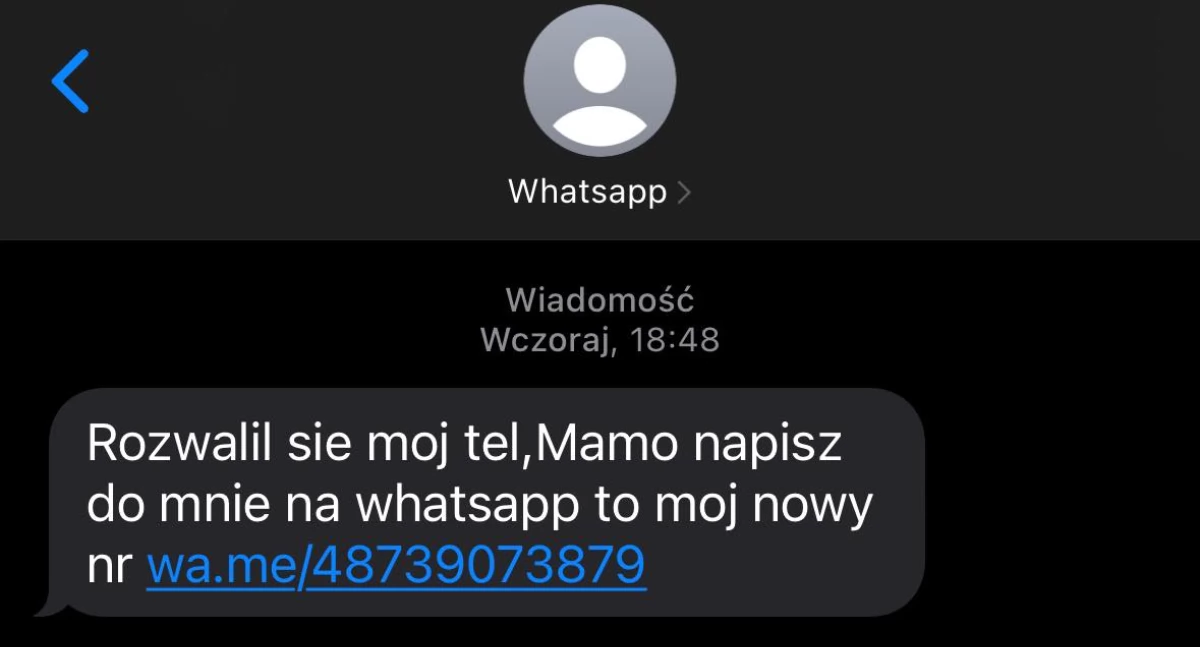 fot. Polska Policja (zdjęcie poglądowe)