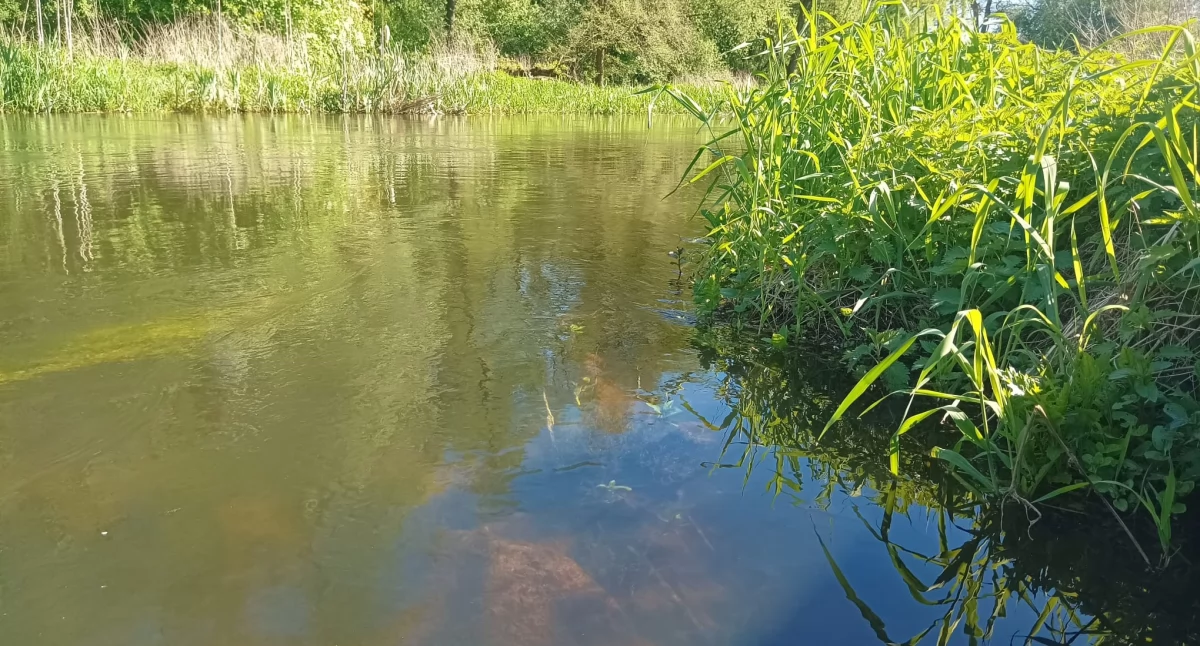 Zdjęcie z okolic zdarzenia nad Liswartą / fot.: Krzysztof Bularz