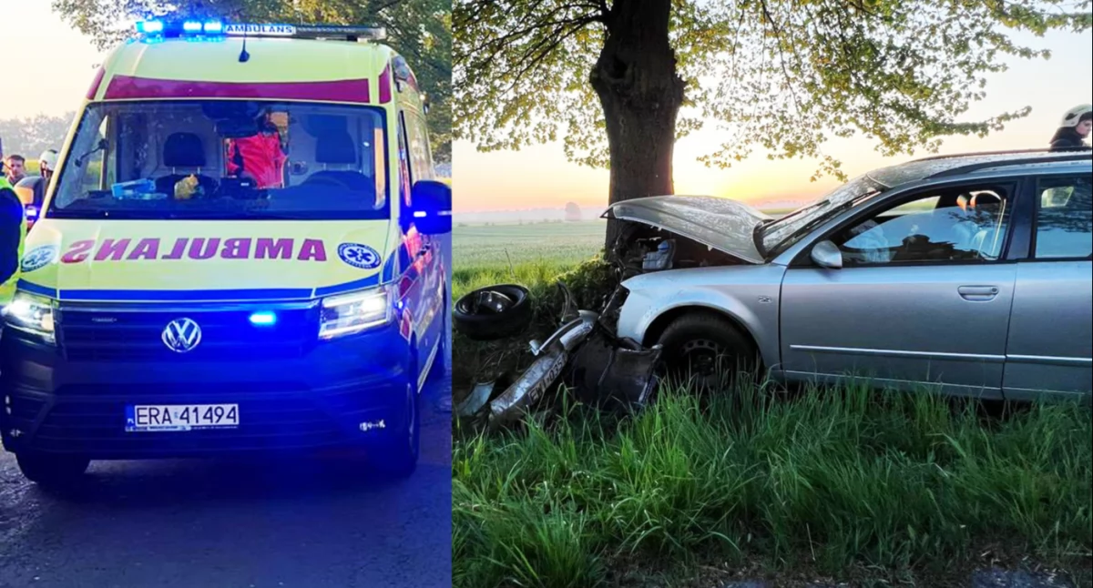 Zdjęcia z wypadku w Nowej Brzeźnicy / fot.: st. str. Paweł Bartoszek/PSP w Pajęcznie