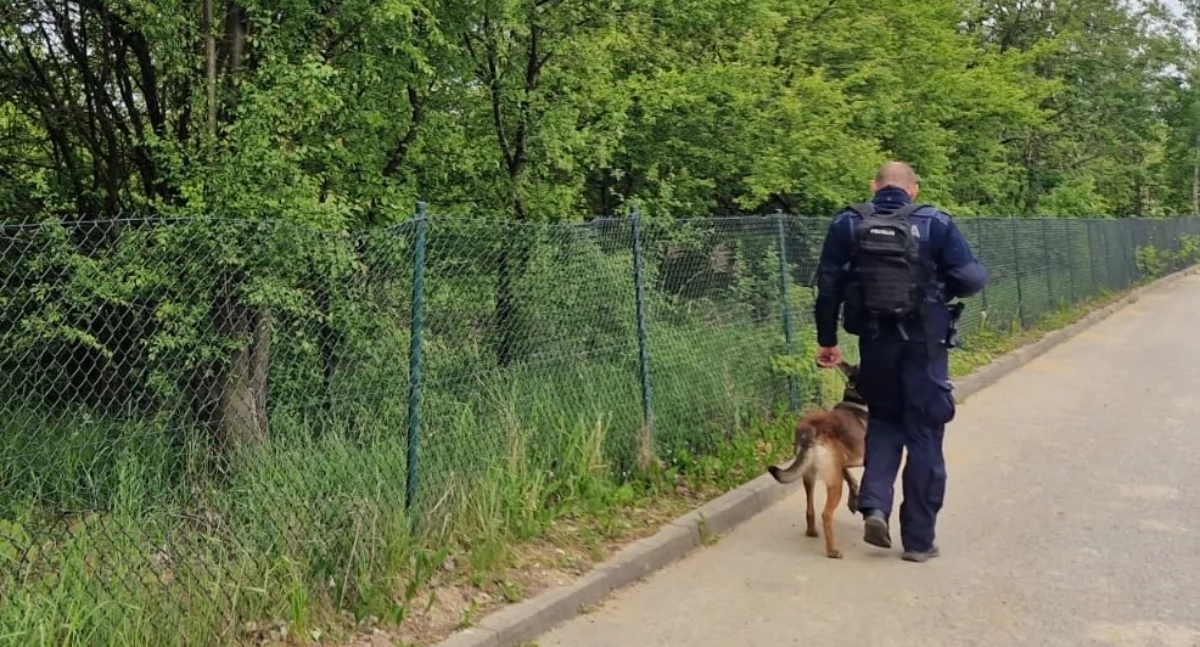 Na zdjęciu fragment poszukiwań mężczyzny przy udziale policyjnego psa / Fot. KPP Radomsko 