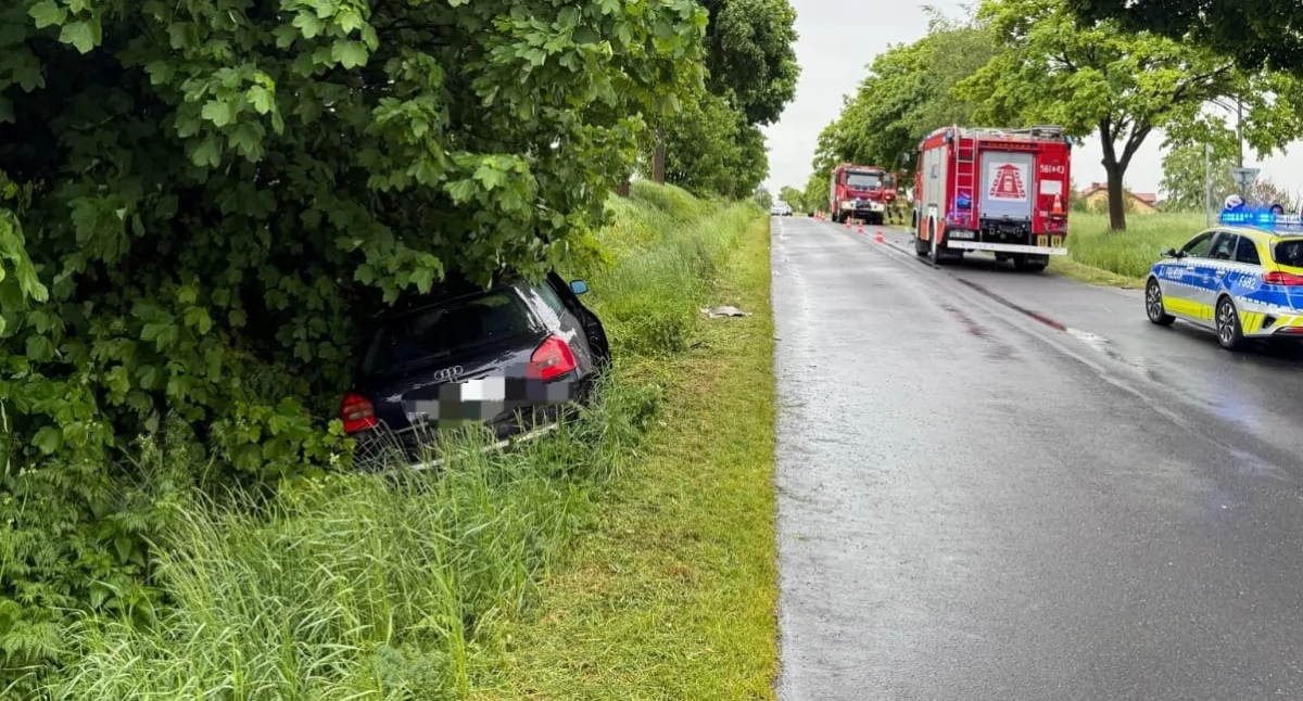 Na zdjęciu miejsce wypadku w Piaskach / Fot. KPP Wieruszów