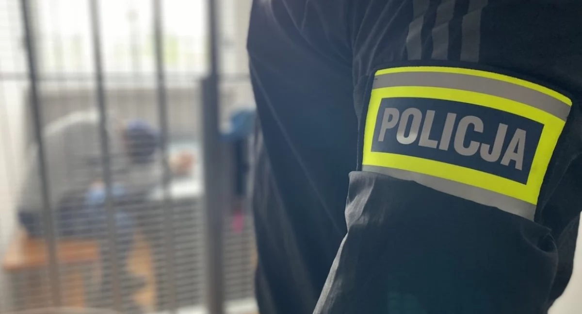 Zdjęcie poglądowe / fot.: KPP w Zduńskiej Woli