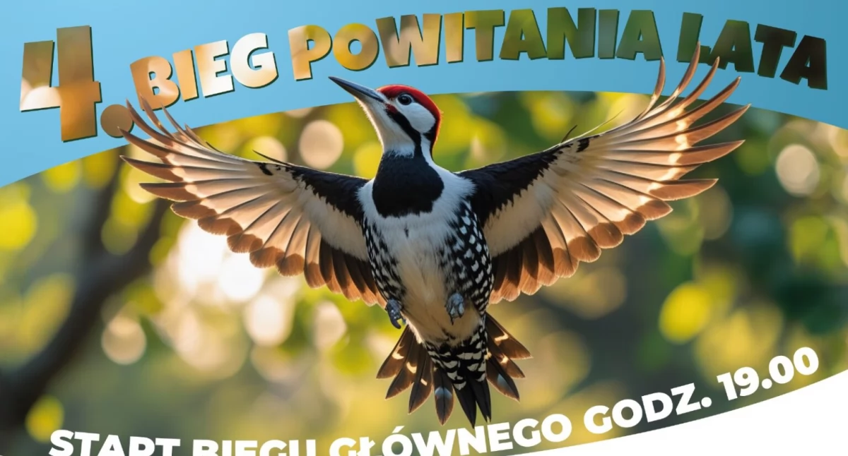 Na zdjęciu plakat promujący wydarzenie/fot. Atelier Sportu