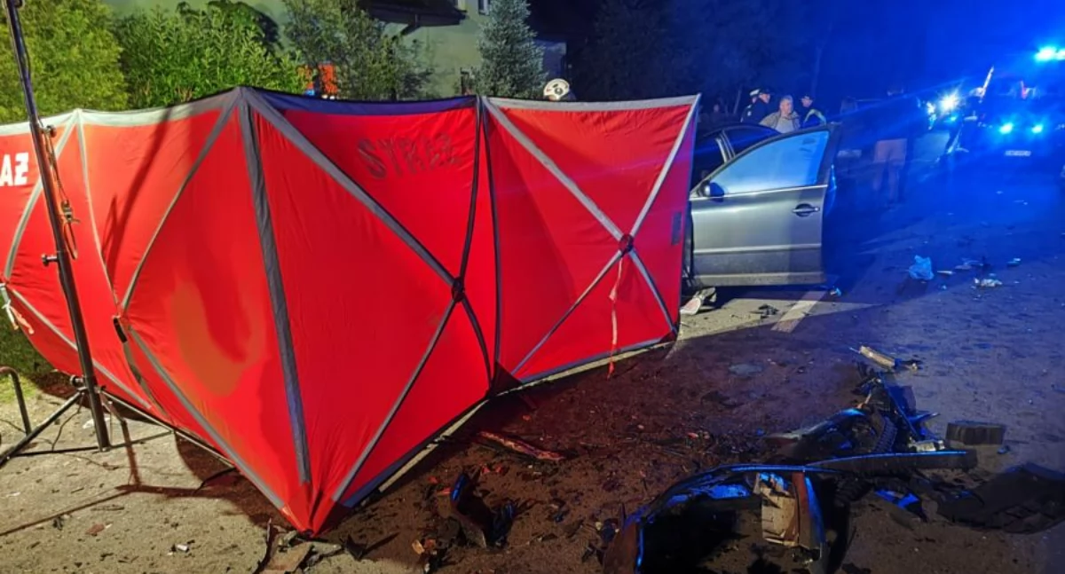 Śmiertelny wypadek w miejscowości Strzałki w powiecie sieradzkim / fot.: PSP Sieradz