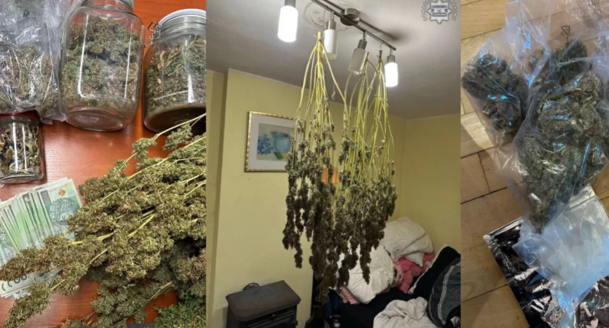 Na zdjęciu zabezpieczone przez policjantów narkotyki / Fot. KMP Częstochowa