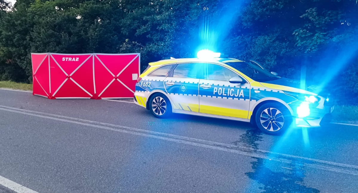 Makabryczna śmierć motocyklisty w Lubczynie, gmina Wieruszów. Na zdjęciu miejsce tragicznego wypadku / fot.: Krzysztof Bularz