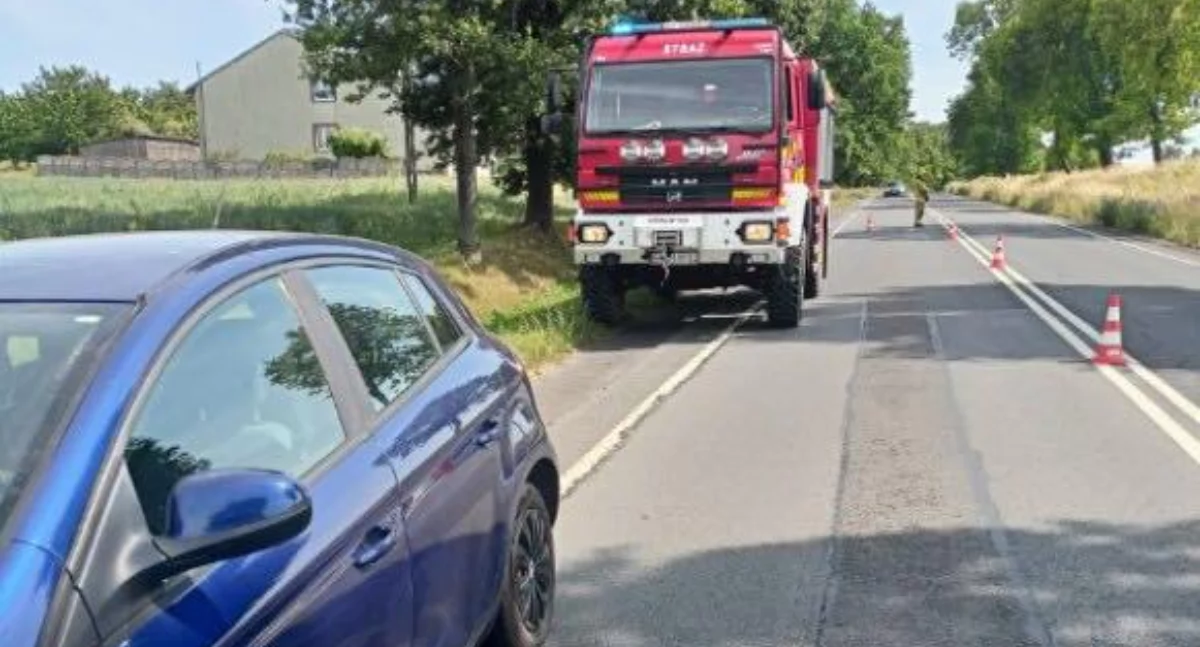 Zdjęcie z miejsca pożaru samochodu osobowego w Kamionce na DK 43 / fot.: OSP Kamionka