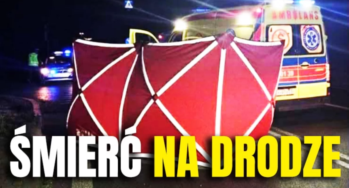 Na zdjęciu miejsce tragicznego wypadku / Fot. Facebook / Komenda Powiatowa Policji w Sieradzu 