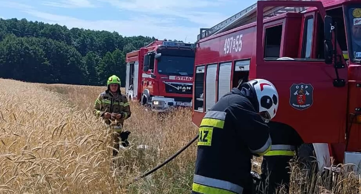 Zdjęcia z akcji gaszenia pożaru traw w miejscowości Barany / fot.: OSP Makowiska