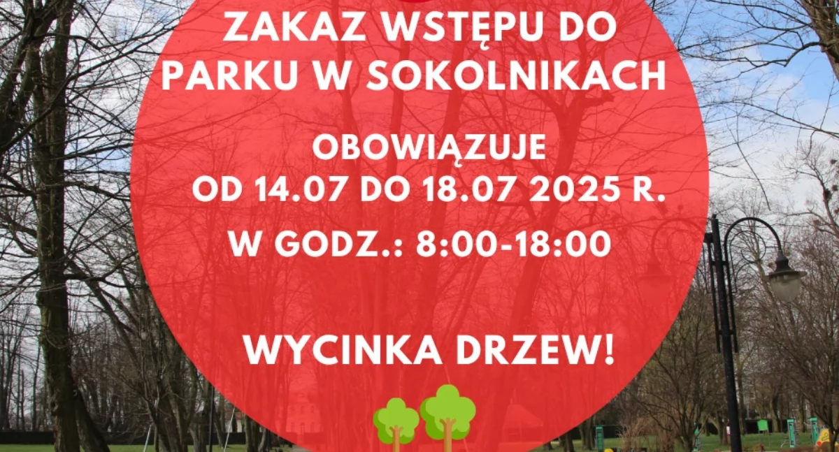 Zdjęcie ilustracyjne / fot.: Gmina Sokolniki