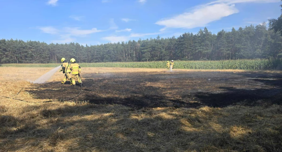 Zdjęcie z miejsca zdarzenia/fot.: OSP Wieruszów