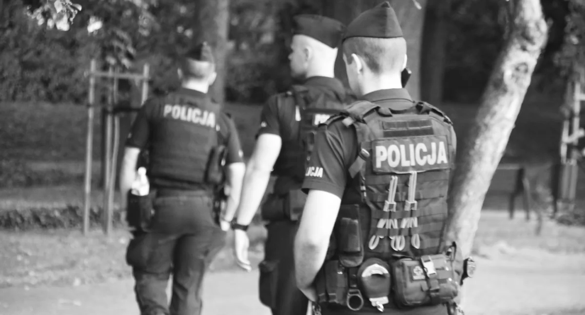 Zdjęcie poglądowe policjantów w akcji / fot.: Sławomir Rajch
