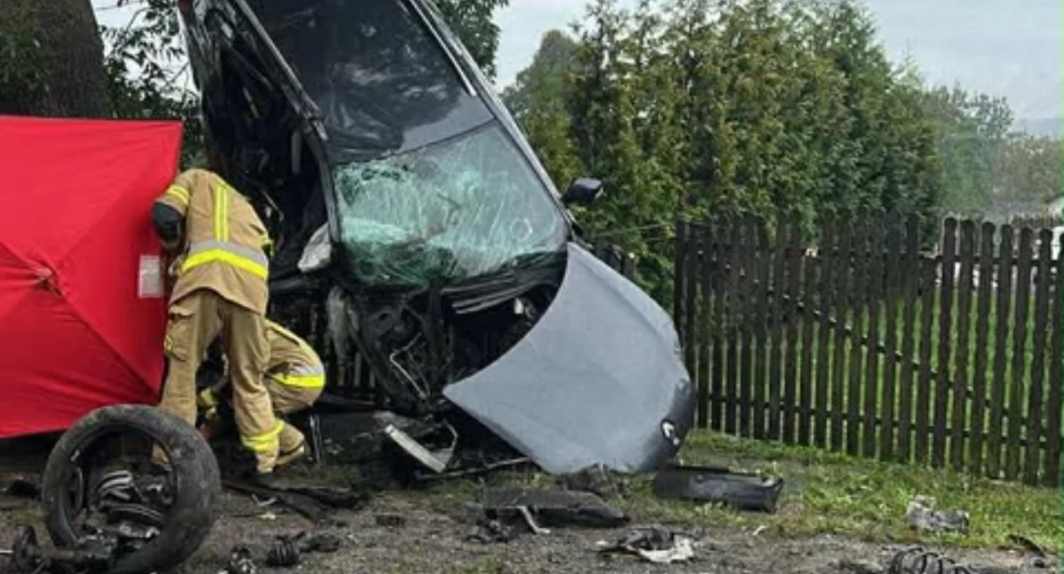 Zdjęcie z miejsca tragicznego wypadku w Ślęzanach, gm. Lelów, pow. częstochowski. Kierowca zginął na miejscu. Kobieta i 6-letnie dziecko w szpitalu / fot.: DiM Car Pomoc Drogowa