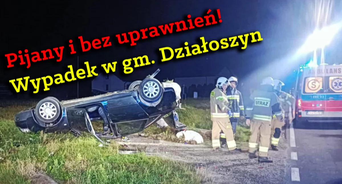 Zdjęcia z wypadku w Kolonii Lisowice, w gminie Działoszyn / fot.: Krzysztof Bularz 