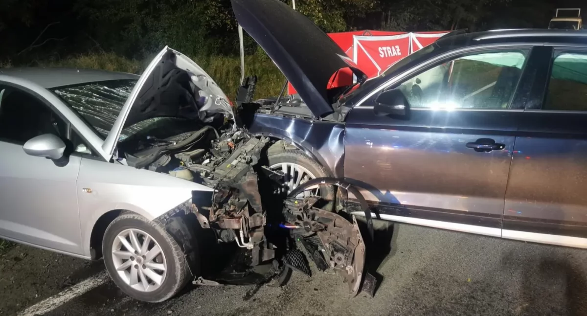 Na zdjęciu miejsce tragicznego wypadku w Aleksandrowie Łódzkim / Fot. KP PSP Zgierz 