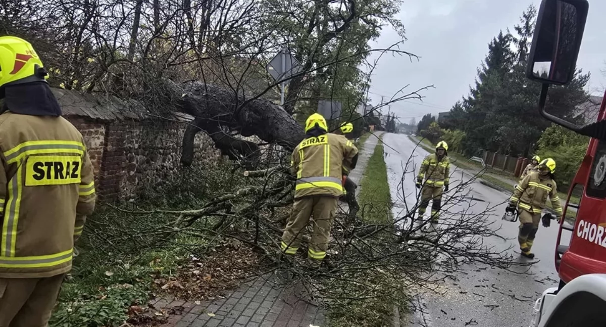 Zdjęcie z miejsca zdarzenia/ fot.: OSP KSRG Sulmierzyce