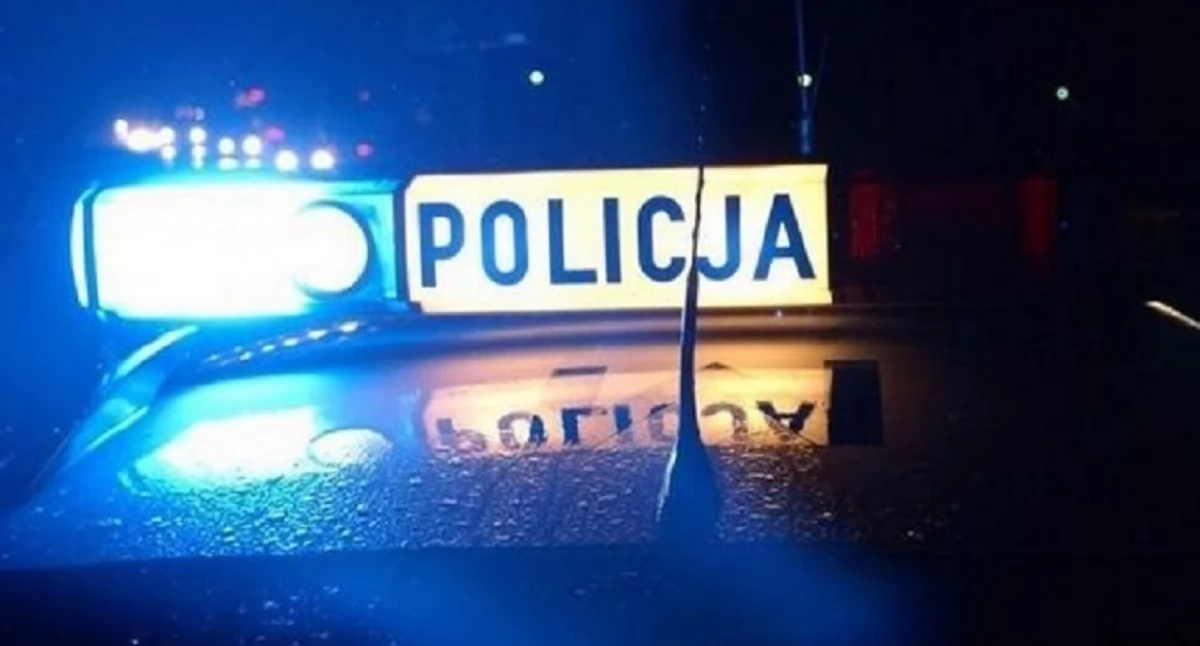 fot. Polska Policja (zdjęcie poglądowe)