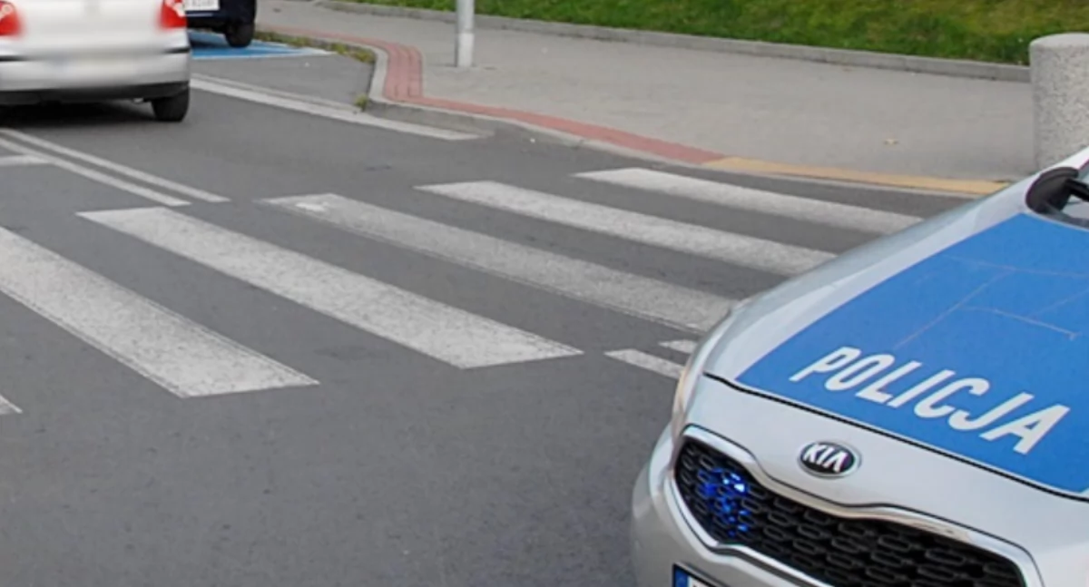 fot. Polska Policja (zdjęcie poglądowe)