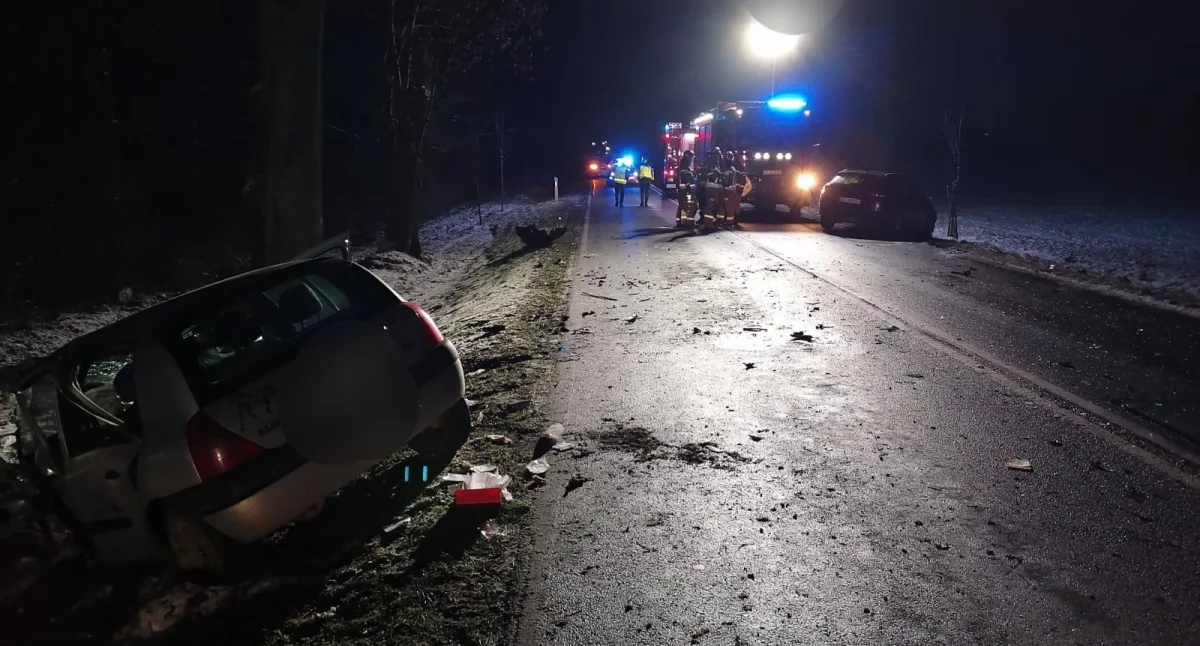 Na zdjęciu miejsce wypadku w Dębołęce / Fot. Facebook / KPP Sieradz