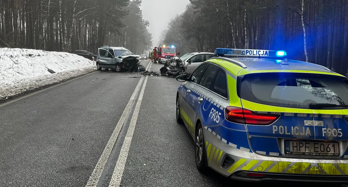 Na zdjęciu miejsce tragicznego wypadku w Borowinach / Fot. KPP Bełchatów