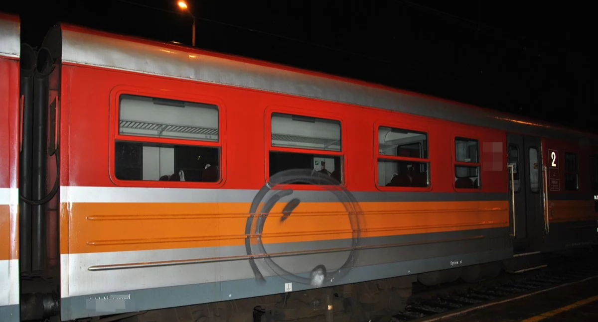 Zdjęcie ze stacji PKP Wieluń Dąbrowa, gdzie doszło do aktu wandalizmu. Trzech nastolatków pomalowało sprayami wagon / fot.: KPP w Wieluniu