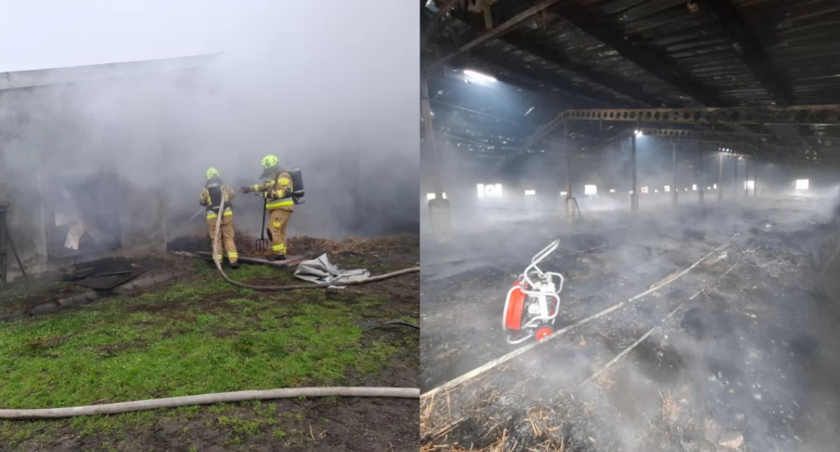 Na zdjęciu miejsce pożaru w miejscowości Wrzosy / Fot. Facebook / OSP Starokrzepice 
