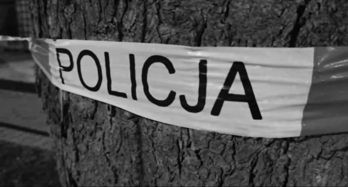 Zdjęcie poglądowe / Fot. Sławomir Rajch