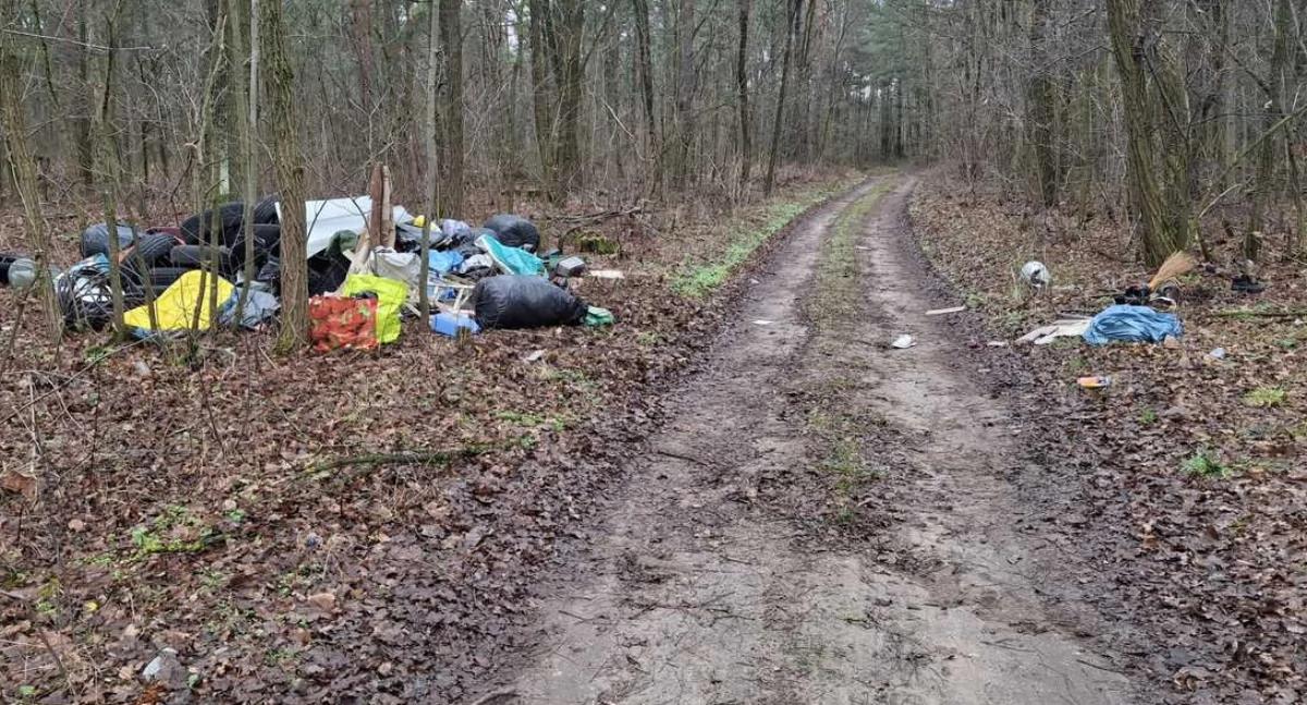 Na zdjęciu śmieci znalezione w lesie na terenie powiatu pajęczańskiego / Fot. KPP Pajęczno 