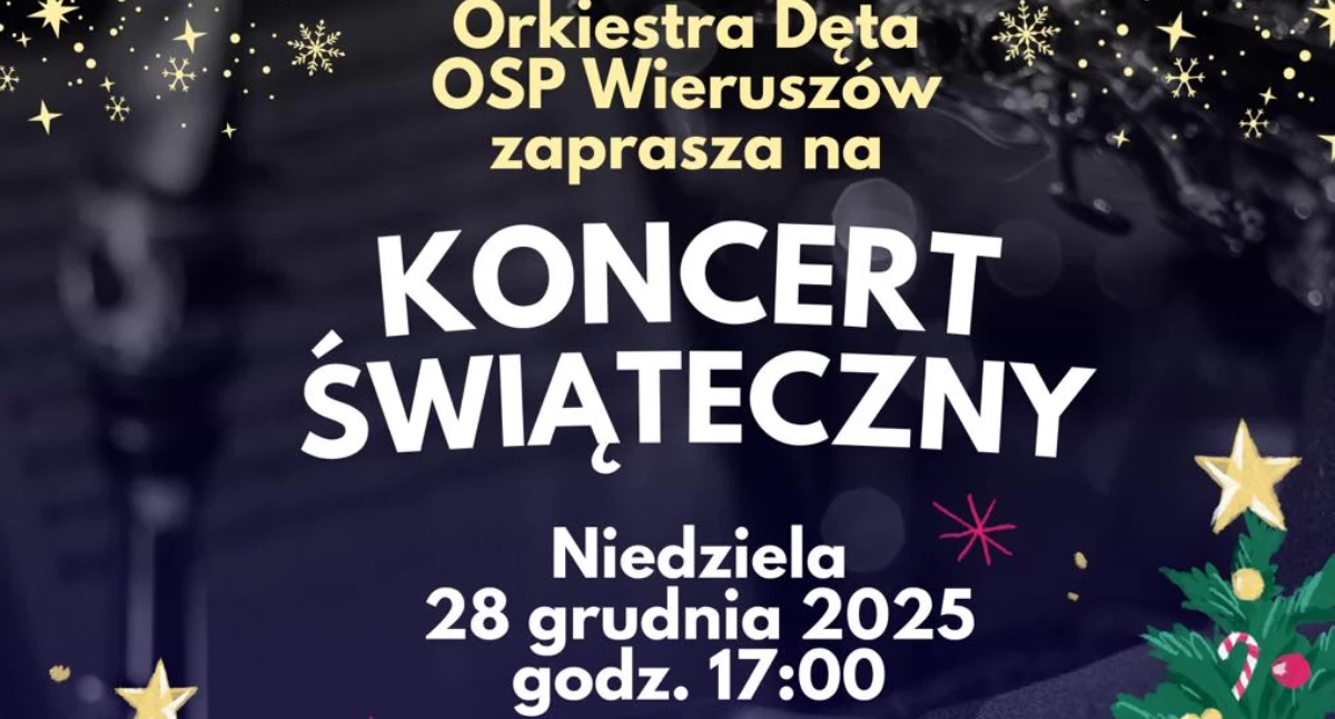 Zdjęcie poglądowe / Fot. Facebook / OSP Wieruszów