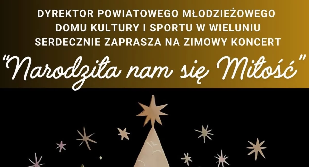 Zdjęcie plakatu zapowiadającego zimowy koncert w wieluńskim PMDKiS / PMDKiS Wieluń