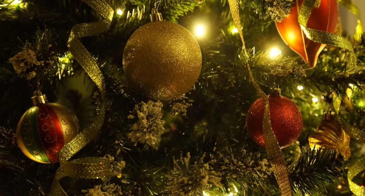 Zdjęcie poglądowe / Fot. Pixabay.com